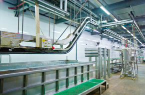 The company uses advanced slaughtering production equipment from Banss, Germany.
